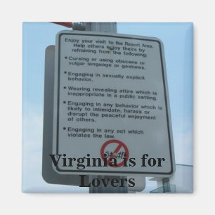 Have Fun, Virginia is for Lovers Magnet