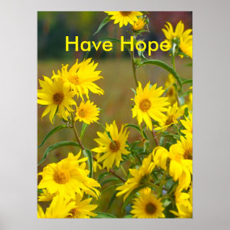Have Hope Motivational Poster