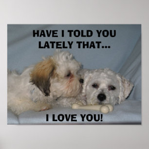 HAVE I TOLD YOU LATELY THAT... I LOVE ... POSTER