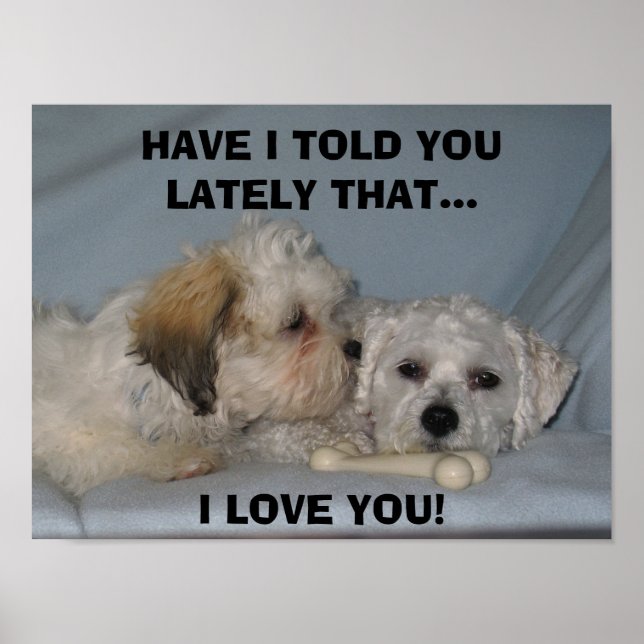 HAVE I TOLD YOU LATELY THAT... I LOVE ... POSTER (Front)