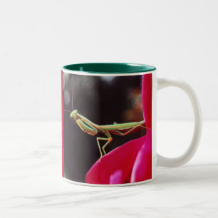 Have we been introduced? Two-Tone coffee mug