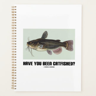 Have You Been Catfished? Catfish Query Humour Planner