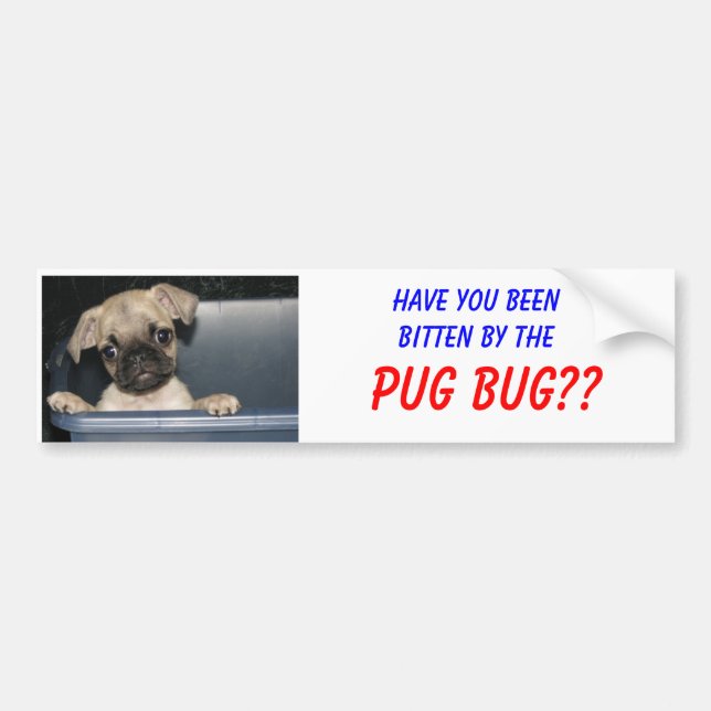 Have you beenbitten by the, PUG BUG?? Bumper Sticker (Front)