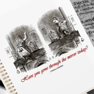 Have You Gone Through The Mirror Today? Wonderland Planner