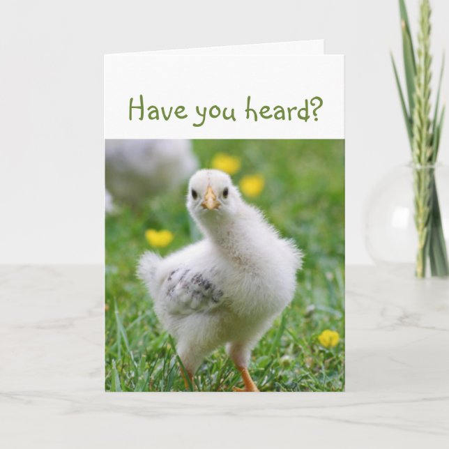 Have you heard?  Cute Chick Announcement (Front)