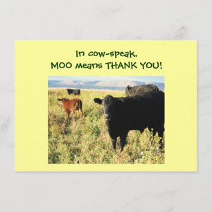 Have You Herd? Calves - Western Thanks Baby Gift Thank You Card