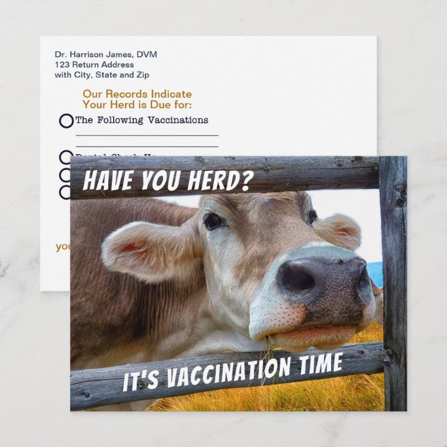 Have You Herd Vaccination Veterinary Reminder Post Postcard (Front/Back)