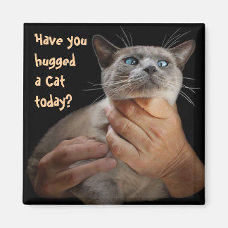 Have you hugged a Cat today? Magnet