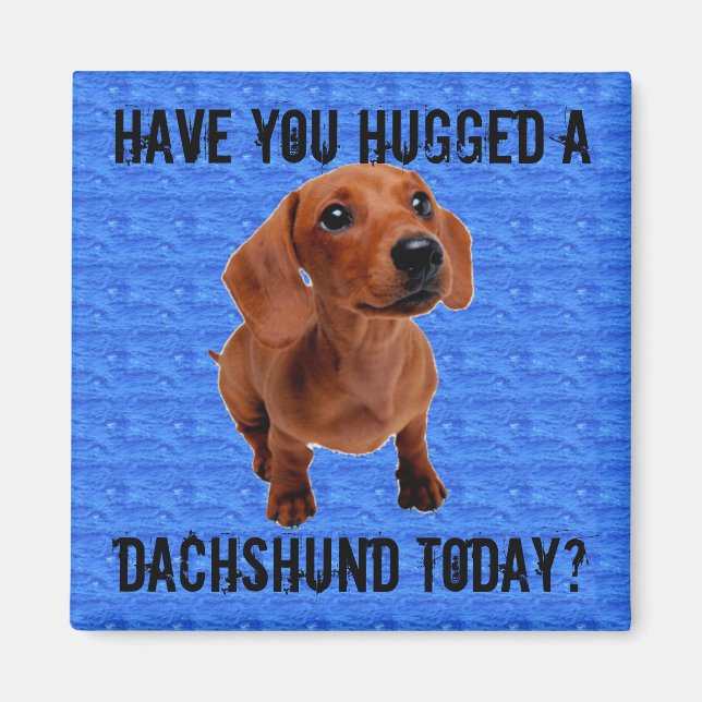 Have you hugged a Dachshund today? Magnet (Front)