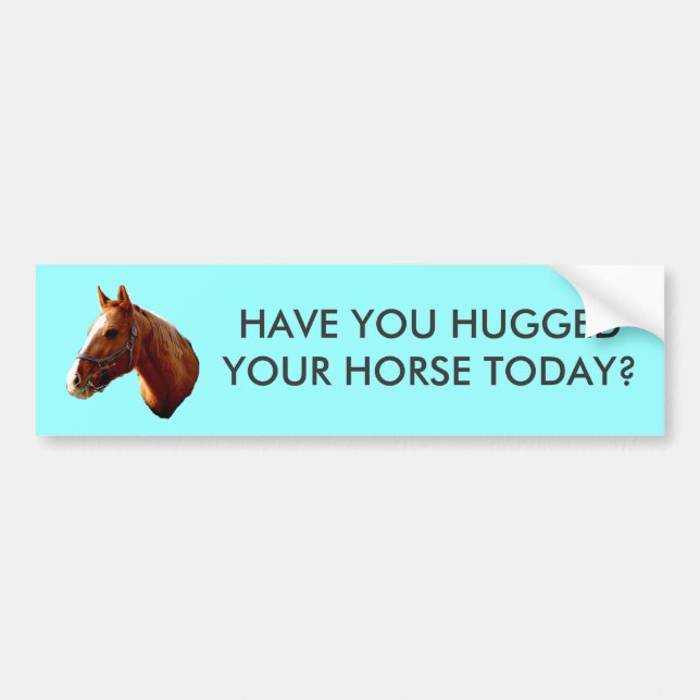 HAVE YOU HUGGED - bumper sticker - (Front)