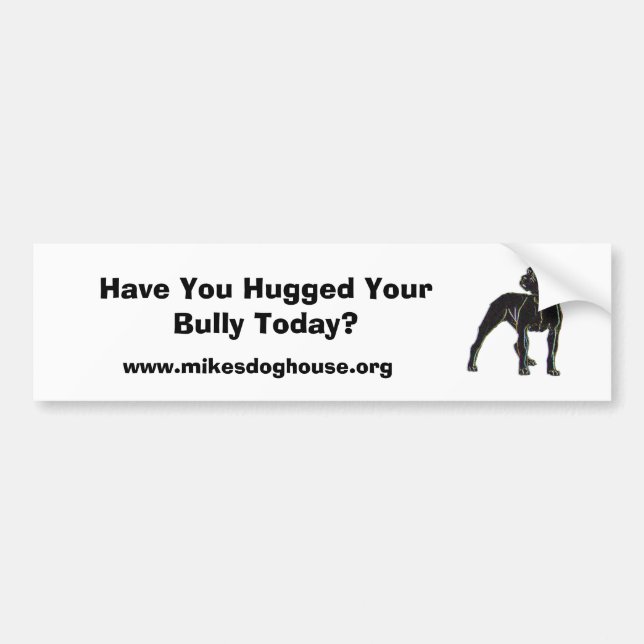 Have You Hugged Your Bully Today? Bumper Sticker (Front)