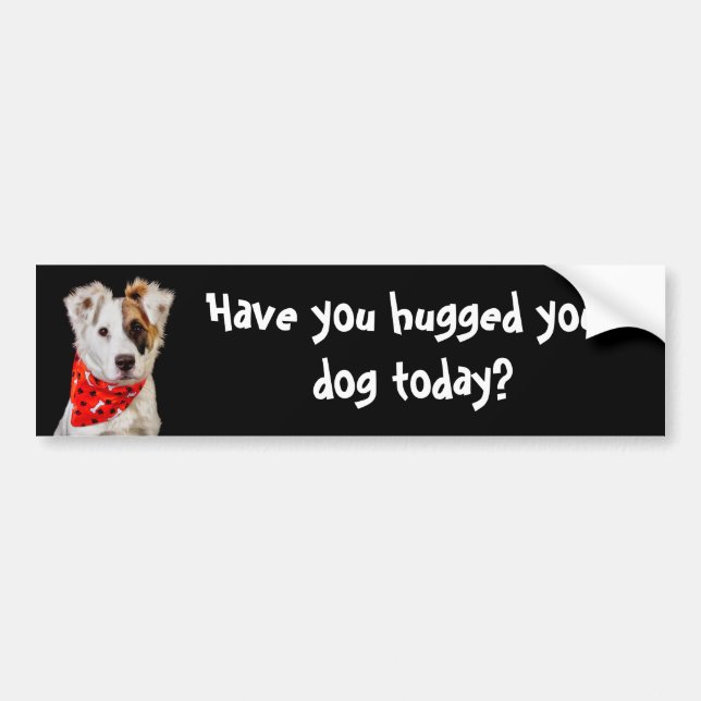 Have you hugged your dog today? bumper sticker (Front)
