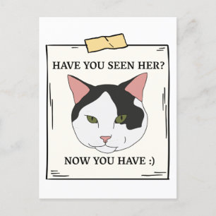 Have You Seen Cat Now You Have Pet Wanted Postcard
