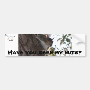 Have You Seen My Nuts? Bumper Sticker