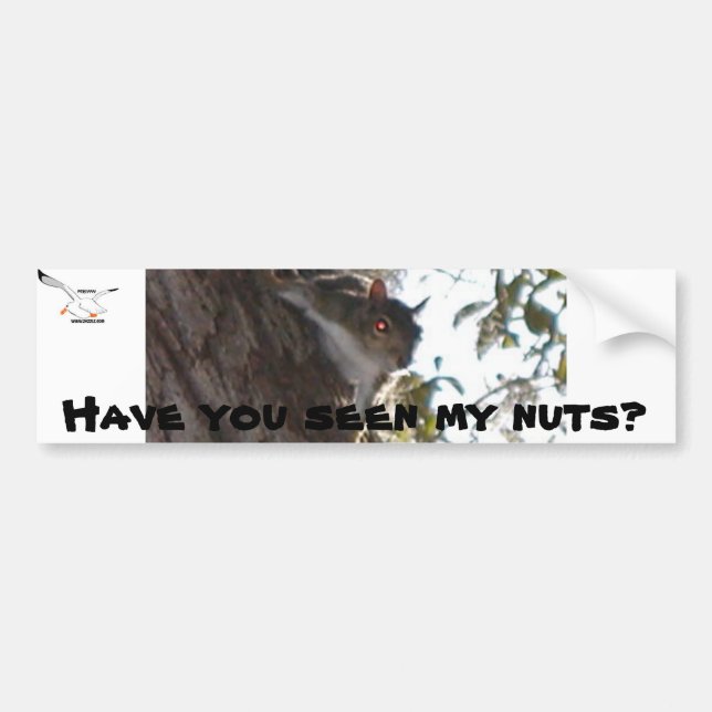 Have You Seen My Nuts? Bumper Sticker (Front)