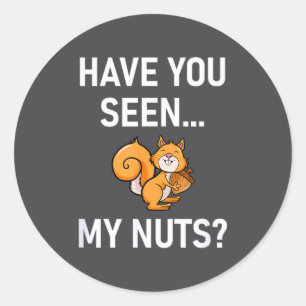 Have You Seen My Nuts, Squirrel Pun Funny, Jokes, Classic Round Sticker