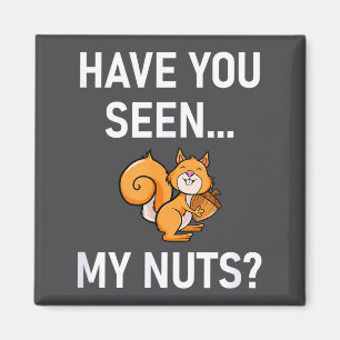 Have You Seen My Nuts, Squirrel Pun Funny, Jokes,  Magnet