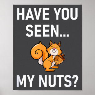 Have You Seen My Nuts, Squirrel Pun Funny, Jokes, Poster