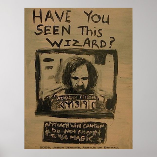 HAVE YOU SEEN THIS WIZARD POSTER (Front)
