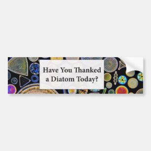 Have You Thanked a Diatom Background Bumper Sticker