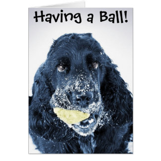 Having a Ball!