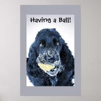 Having a Ball! Poster