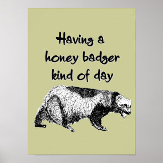 Having a honey badger kind of day poster