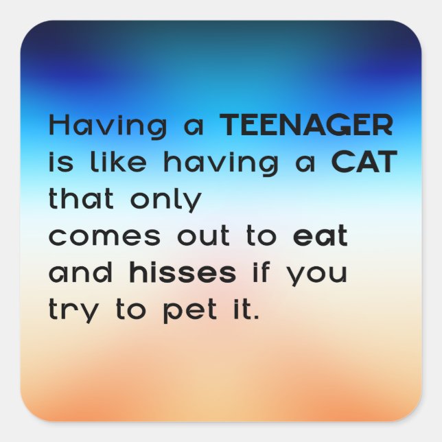 Having a Teenager...  Square Sticker (Front)