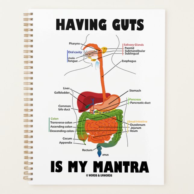 Having Guts Is My Mantra Digestive System Humour Planner (Front)