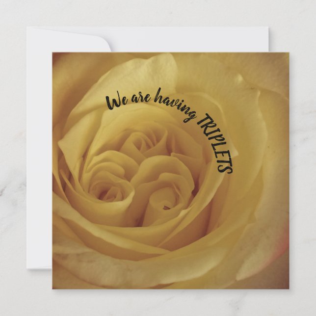Having Triplets Yellow Rose Baby Announcement (Front)
