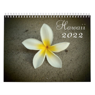 Hawaii 2022 scenic destination calendar