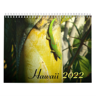 Hawaii 2022 scenic destinations calendar