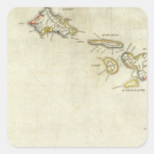 Hawaii 3 square sticker