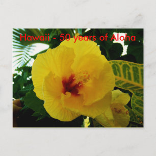 Hawaii 50th State Statehood Postcard