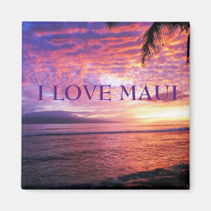 HAWAII ALOHA COLLECTION MAGNET