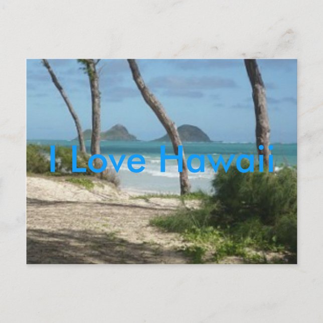 HAWAII ALOHA COLLECTION POSTCARD (Front)