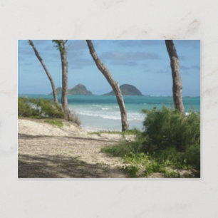 HAWAII ALOHA COLLECTION POSTCARD