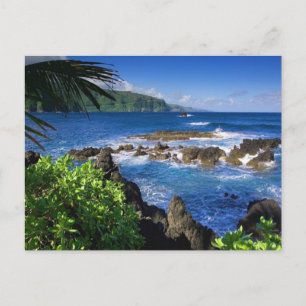 Hawaii Beach Scenery Postcard