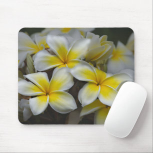 Hawaii Beauty: Captivating Plumeria Photography Mouse Mat