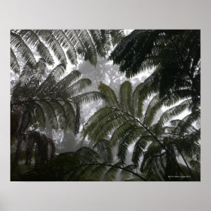 Hawaii, Big Island, Hawaii Volcanoes National Poster