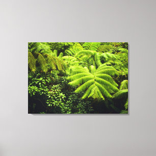 Hawaii, Big Island, Lush tropical greenery in 2 Canvas Print