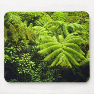 Hawaii, Big Island, Lush tropical greenery in 2 Mouse Mat