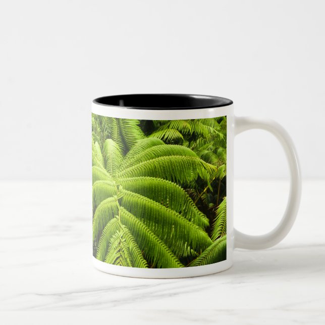 Hawaii, Big Island, Lush tropical greenery in 2 Two-Tone Coffee Mug (Right)