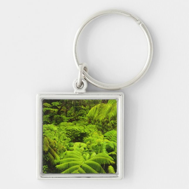 Hawaii, Big Island, Lush tropical greenery in Key Ring (Front)
