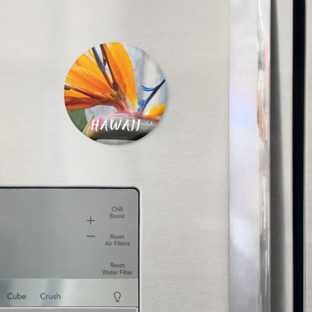 Hawaii Bird of Paradise Plant Flower Magnet (In Situ (Fridge))