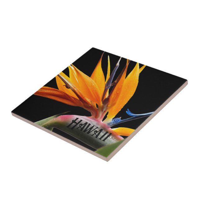Hawaii Bird of Paradise Plant Flower Tile (Side)