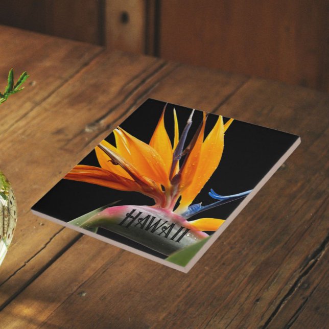 Hawaii Bird of Paradise Plant Flower Tile (In Situ)