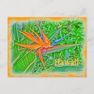 Hawaii bird paradise postcard