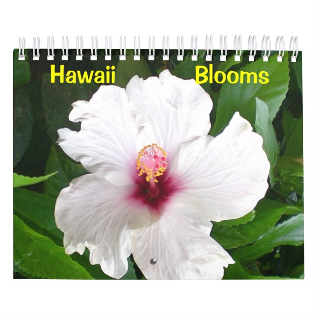 Hawaii Blooms Calendar (Cover)