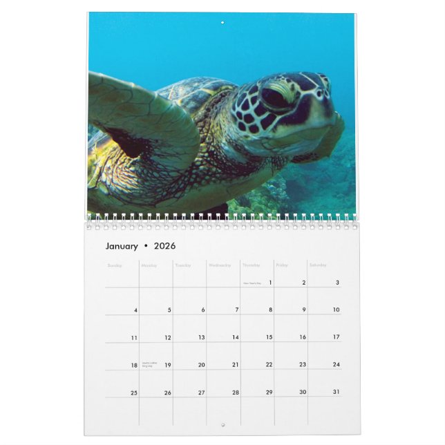 Hawaii Calendar (Jan 2026)